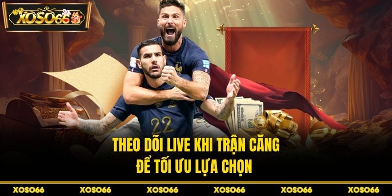 Theo dõi live khi trận căng để tối ưu lựa chọn